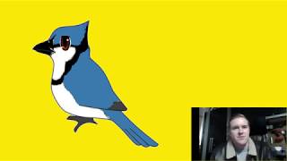 Installing BlueJ