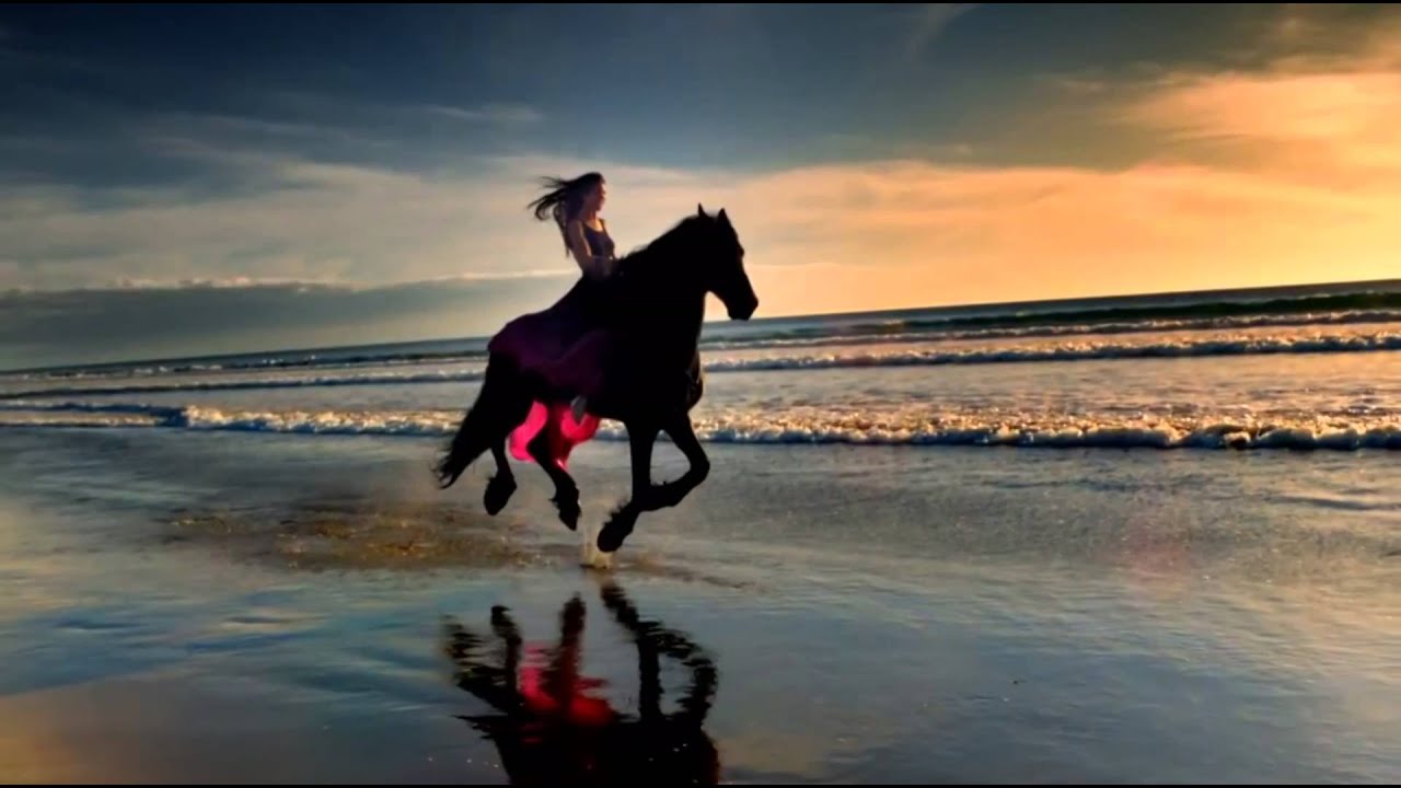 horse music video Intro YouTube