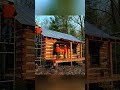 99+ Years Abandoned Wood Cabin Restoration | Full Transformation in Stunning Timelapse#Restoration