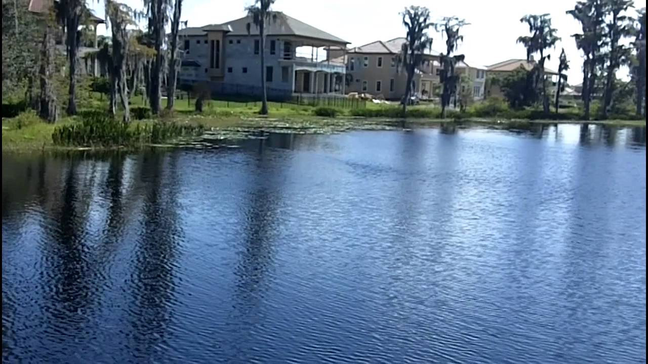 Ladera in Lutz Florida.mp4 YouTube