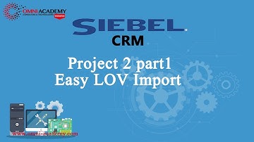 Siebel CRM Project 2 part1 Easy LOV Import FREE Course Workshop OMNI ACADEMY Karachi Pakistan