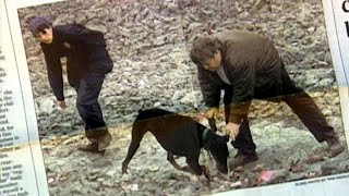 Incredible Working Dogs: Forensic Heroes, Movie Stars, and Canine Artists