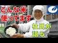 「ギリギリ語れるホントの話 第4回 白鶴の原料米について」【日本酒 白鶴】