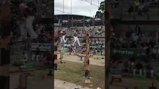 Great#Woodchopping#World Championship#Tree Felling Contest#Royal Easter Show Sydney competition 2024