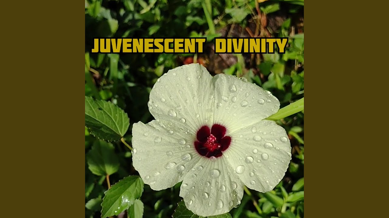 Guarda Juvenescent Divinity su YouTube Guarda Juvenescent Divinity su YouTube
