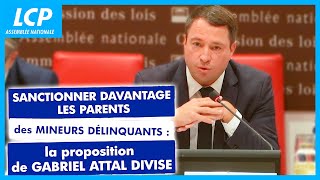 Faut-Il Sanctionner Les Parents De Mineurs Délinquants ?