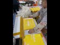 LDPE mailing bags mass production.