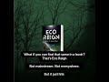 Like Your Favorite Niche Song, Make Eco Reign Your Niche Read