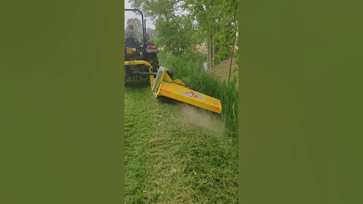 Trincia laterale GL1 modello LAND 170