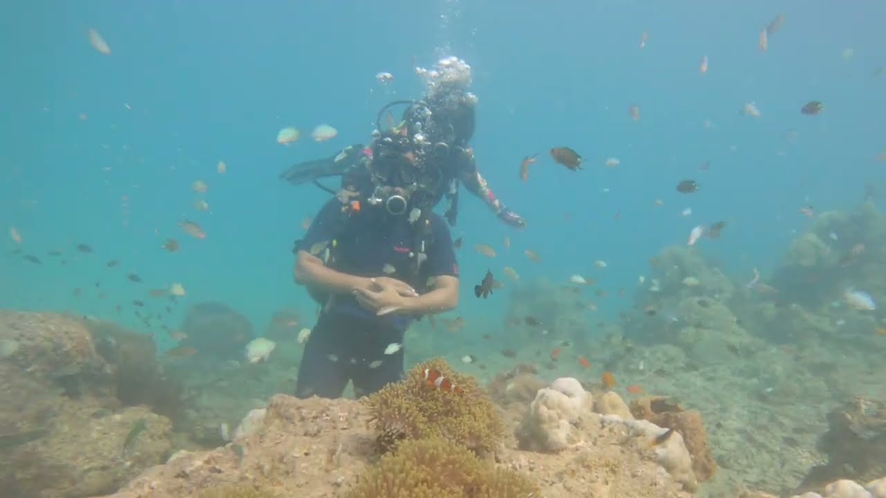 Scuba Diving in Havelock Island | PADI Certified Dive Center | Experience Scuba – Andaman Islands