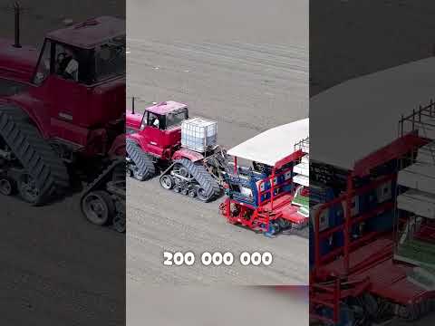 Сбежала от олигарха РАДИ помидоров😭🏡🍅