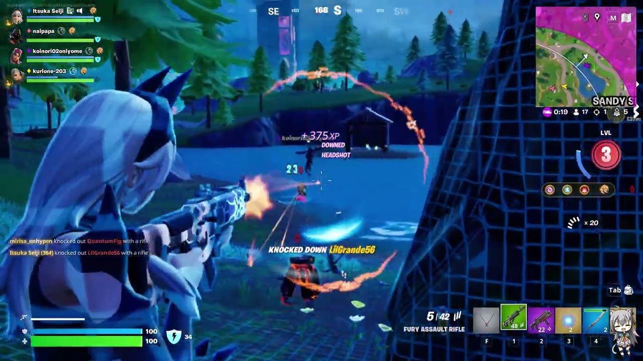 Play Fortnite use Green Fury Assault Rifle