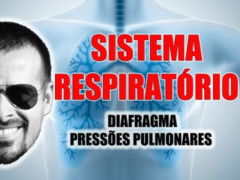 Vídeo: O diafragma está no sistema respiratório?