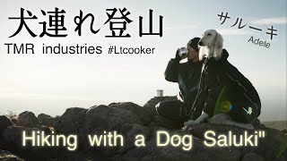 『犬連れ登山』 希少種サルーキ     Hiking with My Dog: The Saluki | Crafting Mountain Gear in a Small Town Workshop