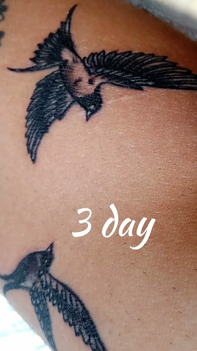 TATTOO healing process