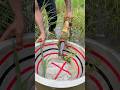 Traditional fishing idea by bamboo traps 33 #reels #fishing #idea