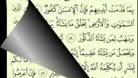 42  سورة الشورى الجزء 2-2 الآية 53-32 تلاوة الشيخ ماهر المعيقلي مع الآيات