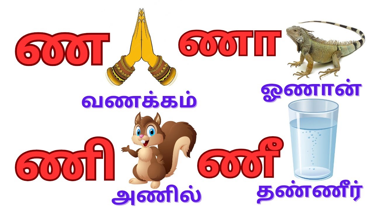 உயிர்மெய் எழுத்துக்கள் | ண ணா ணி ணீ ணு ணூ வரிசை எழுத்துக்கள்|Tamil ...