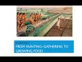 SST| Ch-2 From Hunting-Gathering to Growing Food