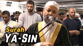 Surah Yasin (Yaseen) سورة يس | Most Beautiful Quran Recitation In The World | Sheikh Hassan Saleh