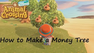 While they may take a bit of time, money trees are ultimately
long-term investment worth making! luckily, as long you look around
enough, they're also f...