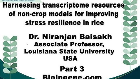Bioingene.com Webinar on ... non-crop models for improving stress resilience in rice [Part 3 of 4]