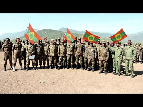 Kotee Hicitii Biiyyaa Ethiopia Jabdu Caqasa November 24 2025