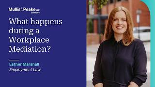 What happens during a Workplace Mediation?