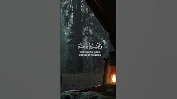 ✿ ســـورةُ فــصِلت تـــلاوة خــاشعة مــن الشــيخ ناصر القــطامي✿#سورة فصلت#💕#الشيخ ناصر القطامي#🌸