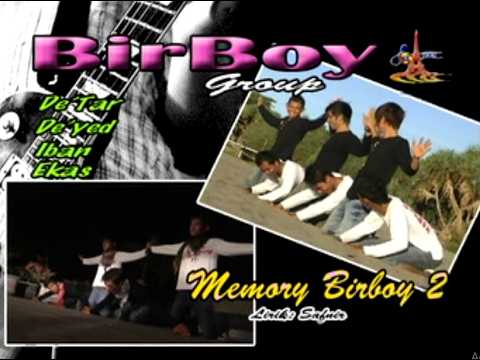 BIRBOY VOL 2 - MEMORY BIRBOY 2