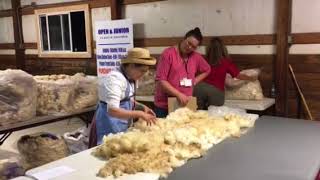 Fleece Judging-Wisconsin Sheep and Wool