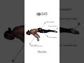 Calisthenics Planche technic