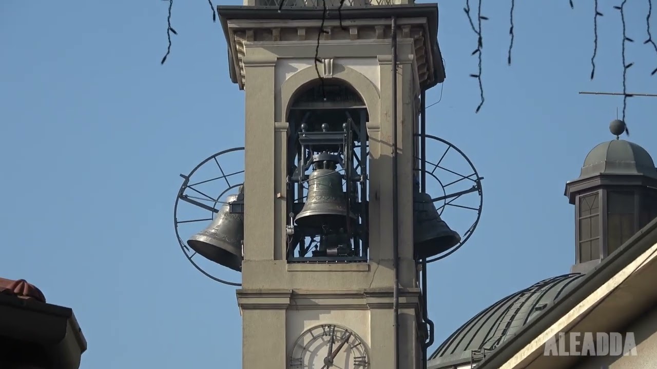 Le campane di Bernareggio (MB) - Nuovi concerti