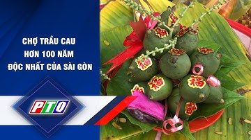 CHỢ TRẦU CAU HƠN 100 NĂM ĐỘC NHẤT CỦA SÀI GÒN | PTQ