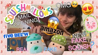 Opening FAKE😱MUSHROOM🍄SQUISH? from Amazon+FIVE BELOW Box Opening! NEW✨Squishmallow HAUL & Review!
