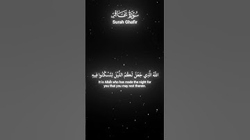 سورة غافر #ياسر_الدوسري#قرآن #quran #راحة_نفسية #قرآن_كريم #تلاوة_هادئة #آية #تلاوة_خاشعة