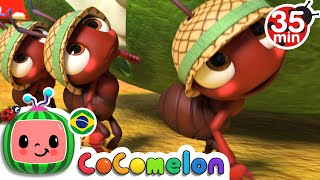 CoComelon em Português | A marcha das formiguinhas | Compilação de Desenhos Animados