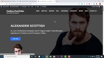 Online Portfolio One Click Demo Import