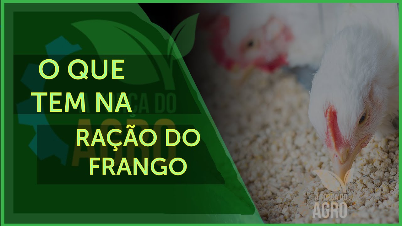 Nutrição animal de qualidade a base de milho e soja