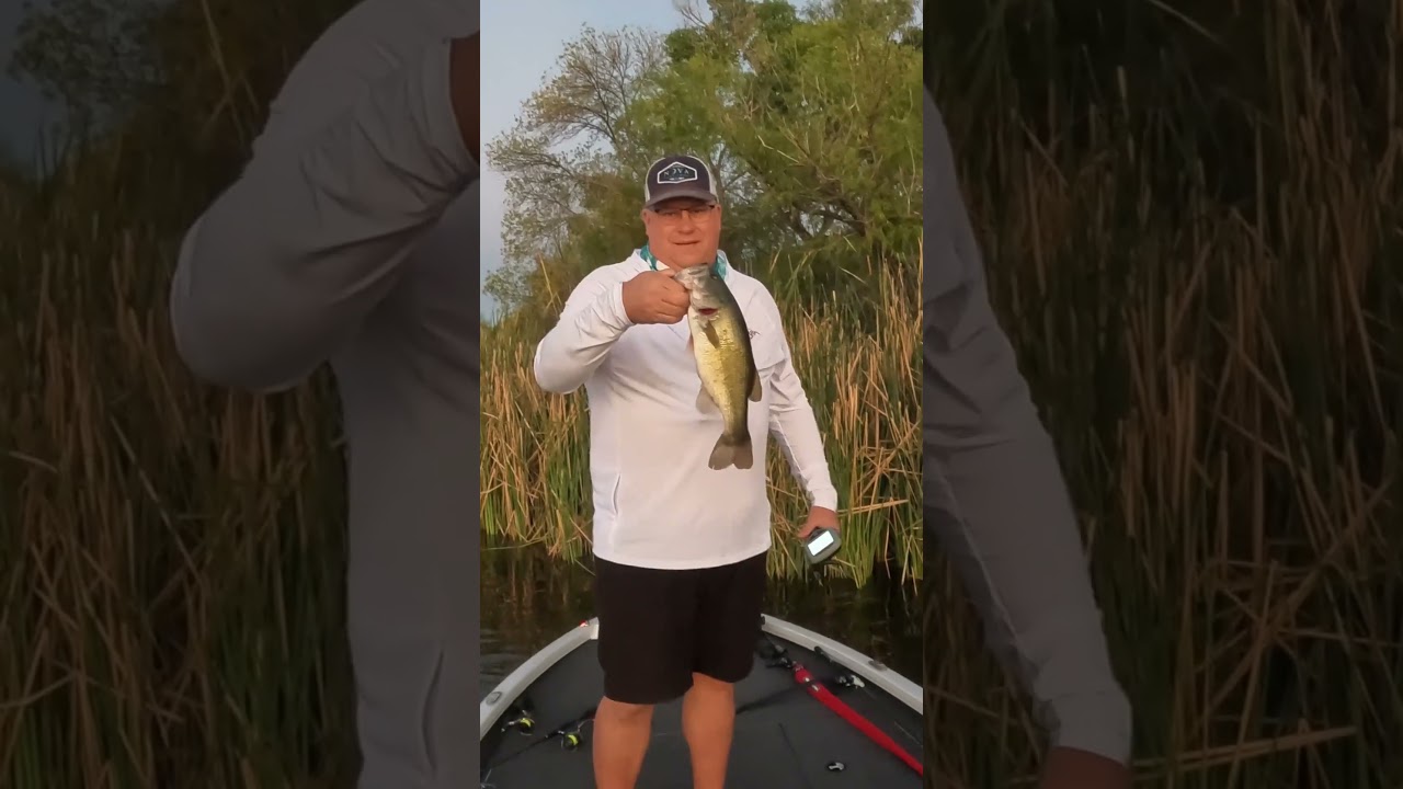 Check Out Patagonia Lake in Arizona 