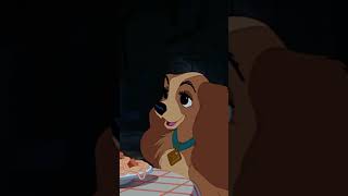 The 70Th Anniversary Celebration Of Lady & The Tramp
