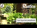 La culture des lgumes perptuels