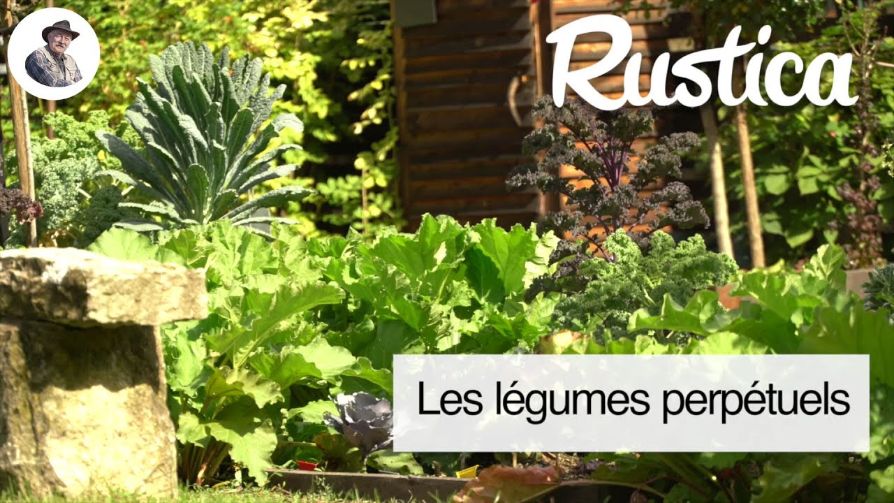 La culture des légumes perpétuels
