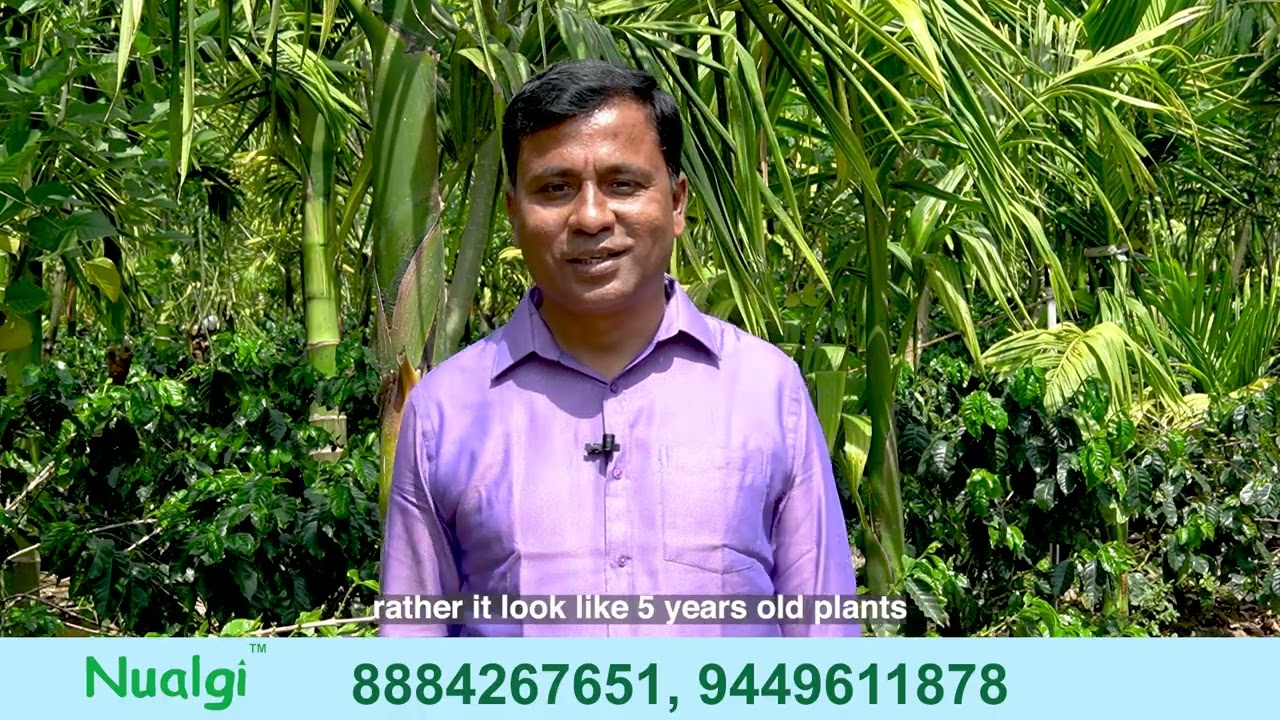 Nualgi in ARECA Devanand With Trans