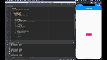 Button with Icon in Flutter