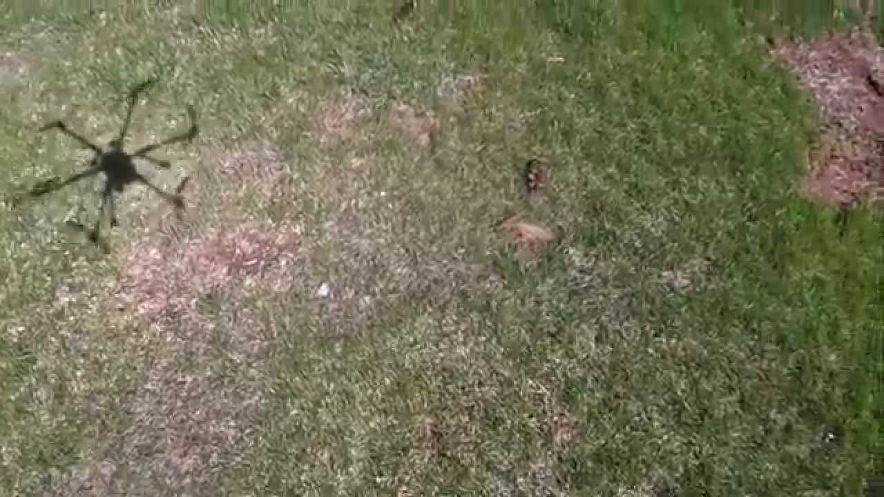 HK RotorBits Hex BL gimbals Ematic cam (720p)