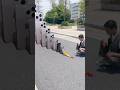 😱📱 Biggest iPhone Drop Ever! Luna Missed the Craziest Moment 😂🔥 #Shorts #Viral