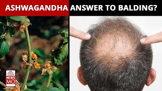 Ashwagandha hair masks for bouncy and strong hairs  3 DIY 