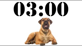 3 Minute Dog Timer for School and Homework - Dog Bark Alarm Sound
