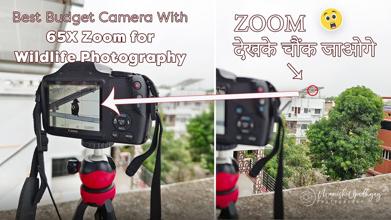 Best Camera For Wildlife Photography | Budget Camera For Bird Photography | 65X Zoom Camera 